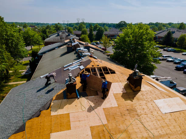 Best Storm Damage Roof Repair  in Westby, WI