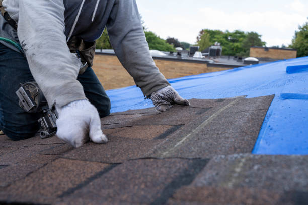 Best Sealant for Roof  in Westby, WI