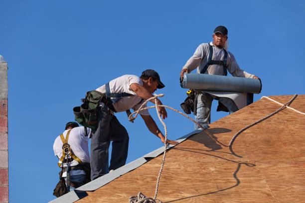 Best Roof Waterproofing Services  in Westby, WI