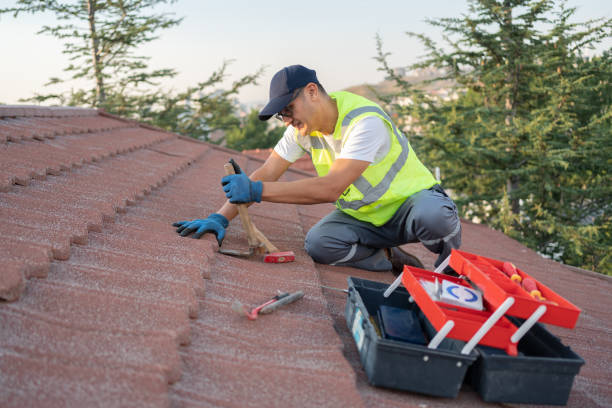 Best Roof Restoration Services  in Westby, WI