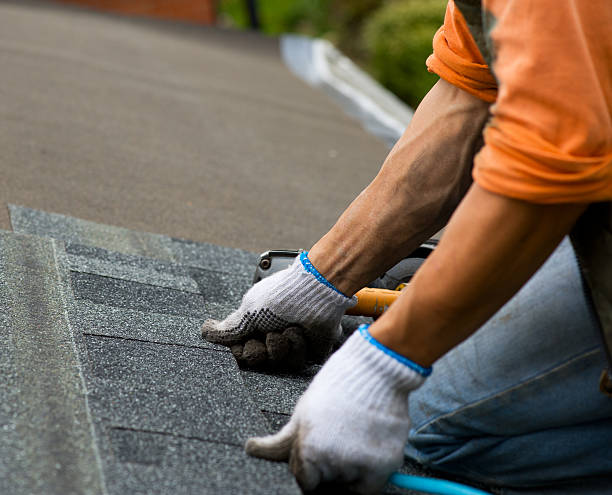 Best Shingle Roofing Installation  in Westby, WI